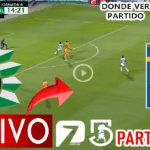 Santos vs Tigres Transmisión en VIVO y DIRECTO HD